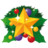 christmas star Icon